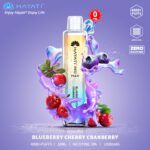 BLUEBERRY CHERRY CRANBERRY hayati pro max 4000 puffs