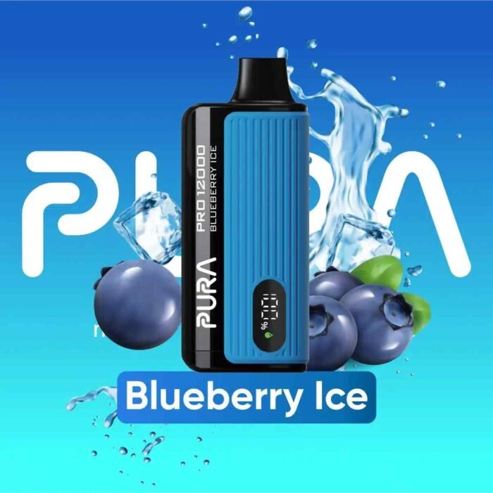 BLUEBERRY ICE pura 12000 puffs price in dubai