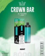 MINT crown bar 8000 puffs