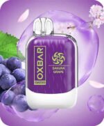 SAKURA GRAPE oxbar g800 8000 puffs price in dubai