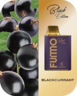 BLACKCURRANT FUMMO KING 6000 Puffs 2% Disposable Vape Price in Dubai