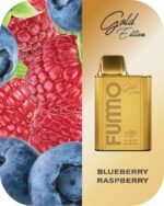 BLUEBERRY RASPBERRY FUMMO KING 6000 Puffs 2% Disposable Vape Price in Dubai