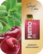 CHERRY SPEARMINT FUMMO KING 6000 Puffs 2% Disposable Vape Price in Dubai