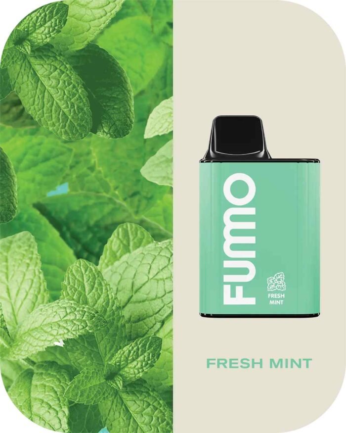 FRESH MINT FUMMO KING 6000 Puffs 2% Disposable Vape Price in Dubai