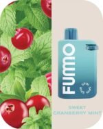 FUMMO SPIN 10000 Puffs Price in Dubai SWEET CRANBERRY MINT