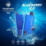 fuumy vape 12000 puffs BLUEBERRY ICE