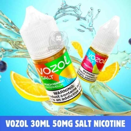 VOZOL Salt Nicotine Price in Dubai