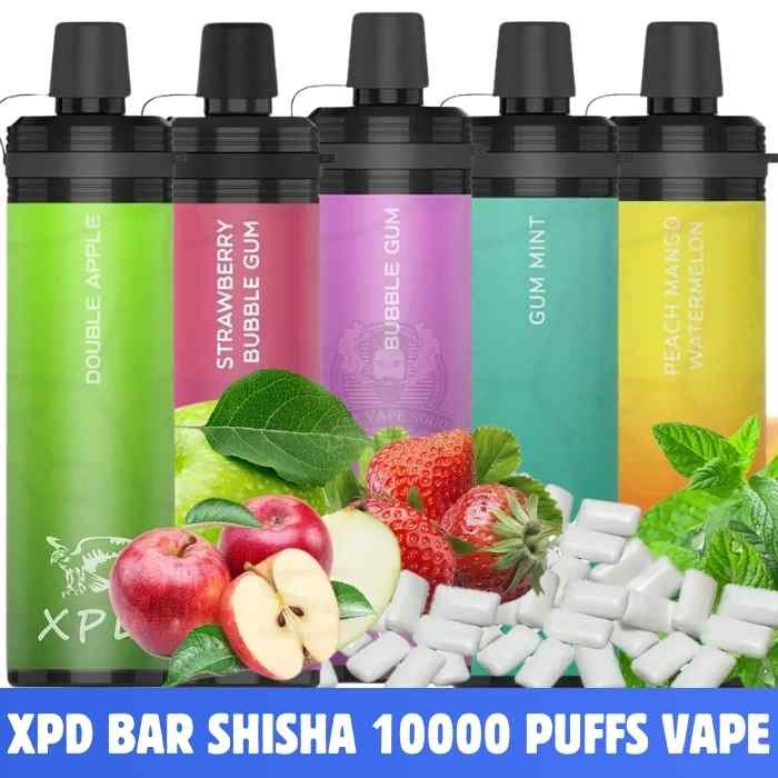 XPD BAR SHISHA 10000 Puffs Price in Dubai