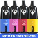 KALYAN PRO 12000 Puffs Price in Dubai