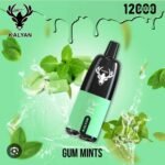 KALYAN PRO 12000 Puffs Price in Dubai Gum Mints