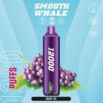 SMOOTH Whale 12000 Puffs 5% Disposable Vape