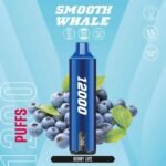 SMOOTH Whale 12000 Puffs 5% Disposable Vape