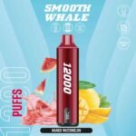 SMOOTH Whale 12000 Puffs 5% Disposable Vape