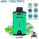 ABAC 17000 Puffs Dual Mesh 5% Nicotine Disposable Vape Price in Dubai Ice Mint