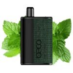 BECO Plush 8000 Puffs 50Mg Disposable Vape Price in Dubai Fresh Mint