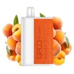 BECO Plush 8000 Puffs 50Mg Disposable Vape Price in Dubai Peach ice