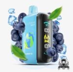 ELFBAR Raya D3 25000 Puffs Disposable Vape Price in Dubai Blueberry Ice