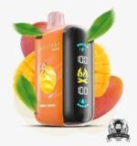 ELFBAR Raya D3 25000 Puffs Disposable Vape Price in Dubai Double Mango