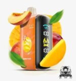 ELFBAR Raya D3 25000 Puffs Disposable Vape Price in Dubai Mango Peach