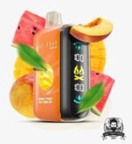 ELFBAR Raya D3 25000 Puffs Disposable Vape Price in Dubai Mango Peach Watermelon