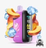 ELFBAR Raya D3 25000 Puffs Disposable Vape Price in Dubai Peach Ice