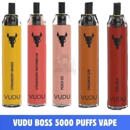 VUDU Boss 5000 Puffs 50Mg Disposable Vape In Dubai, UAE