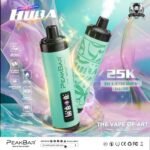 PEAK BAR 25000 Puffs DTL Disposable Vape Price in Dubai Blueberry Gum