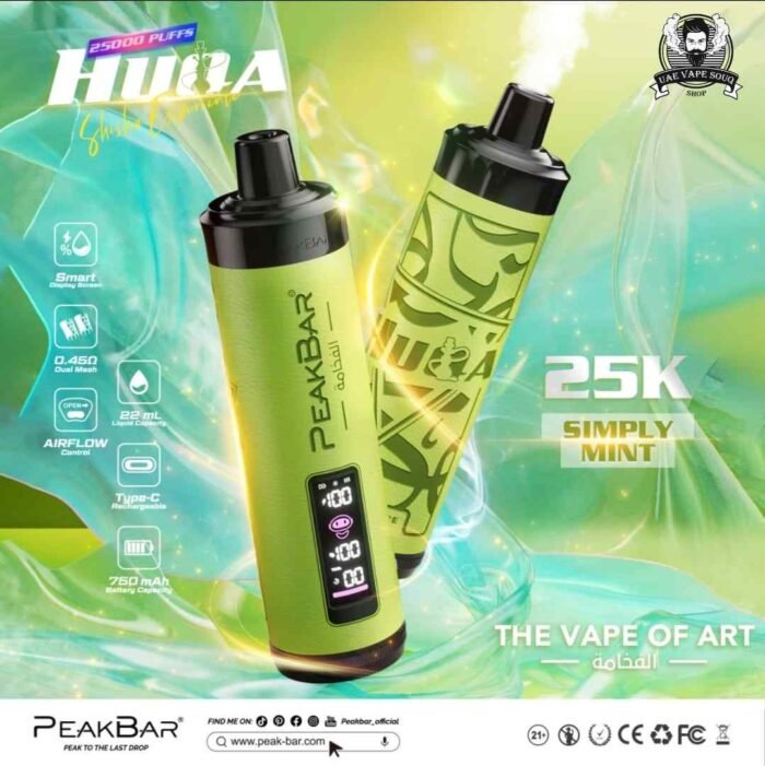 PEAK BAR 25000 Puffs DTL Disposable Vape Price in Dubai Simply Mint